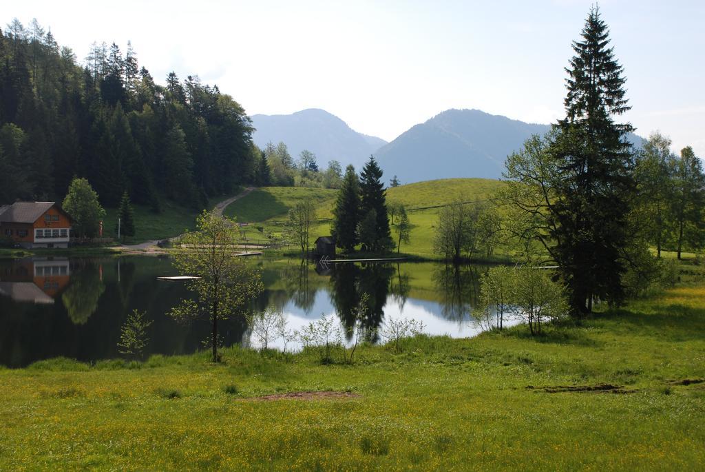 Apartment An Der Traun Bad Aussee Pokój zdjęcie