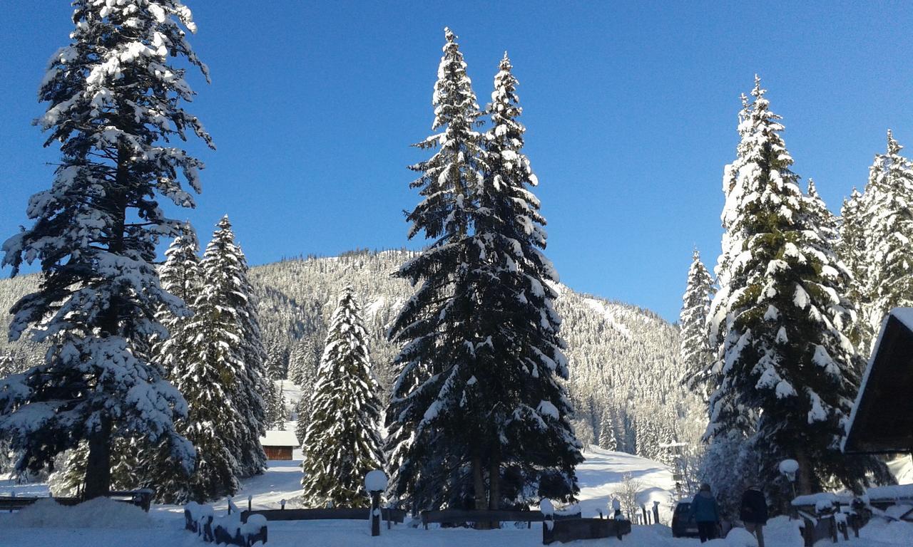 Apartment An Der Traun Bad Aussee Zewnętrze zdjęcie